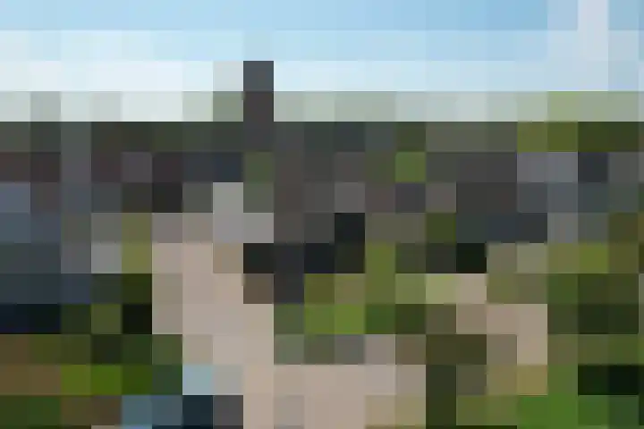 Noorddonk 162 Steenbergen thumbnail 62