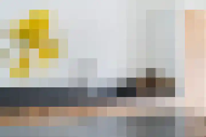 Noordeand 6 St.-Annaparochie thumbnail 13