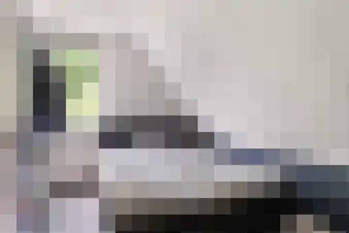 Noordeand 6 St.-Annaparochie thumbnail 25