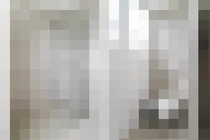 Noordeand 6 St.-Annaparochie thumbnail 30