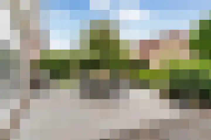 Noordeand 6 St.-Annaparochie thumbnail 34