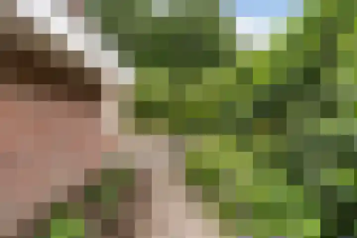 Noordeand 6 St.-Annaparochie thumbnail 36