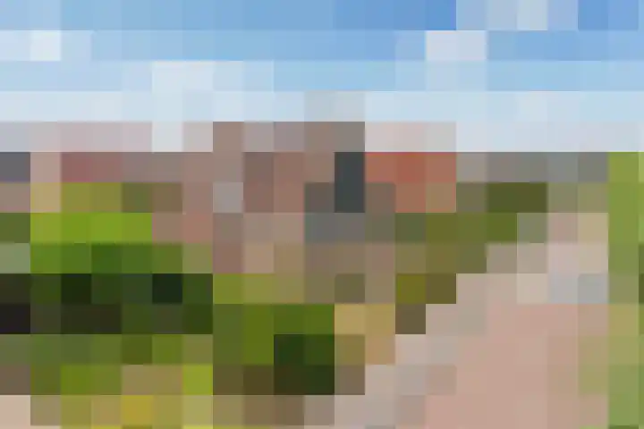 Noordeand 6 St.-Annaparochie thumbnail 39