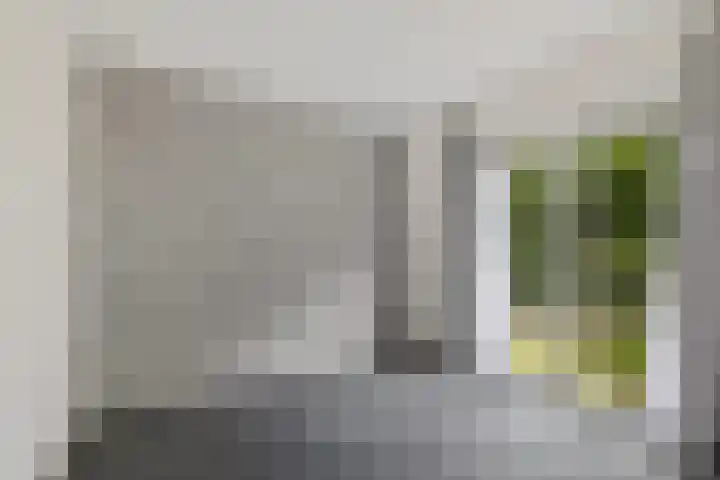 Noordeind 43 Emmen thumbnail 10