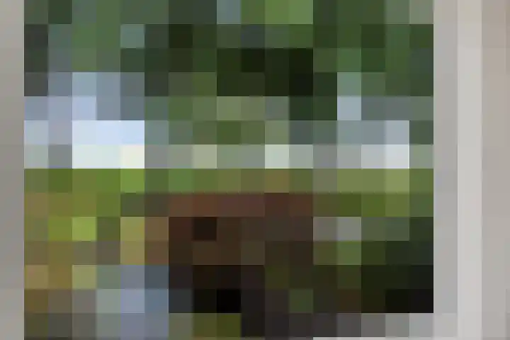 Noordeind 43 Emmen thumbnail 4