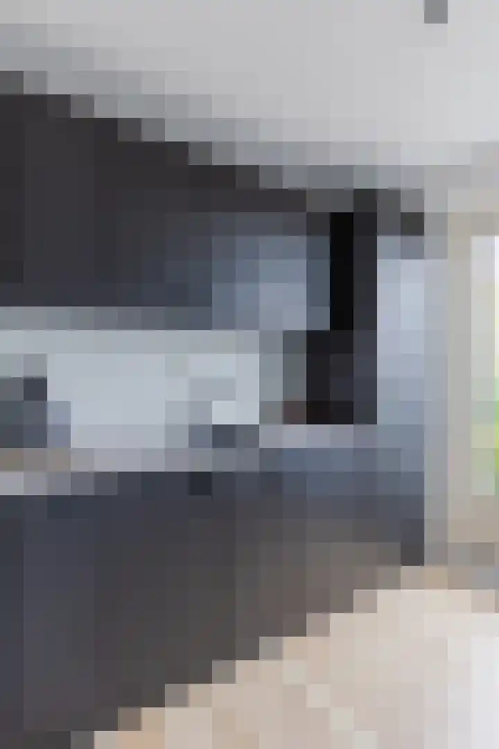 Noordeinde 1 A Wormerveer thumbnail 14