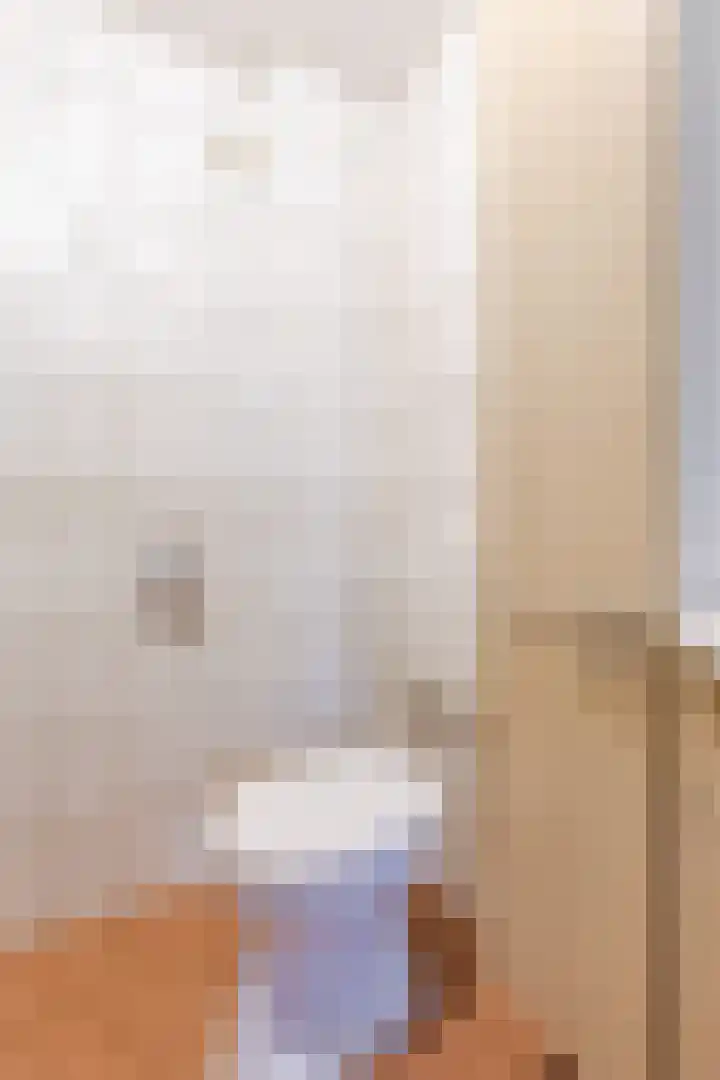 Noordeinde 1 A Wormerveer thumbnail 20