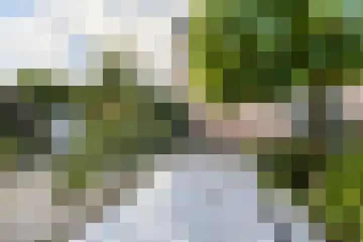 Noordeinde 1 A Wormerveer thumbnail 24