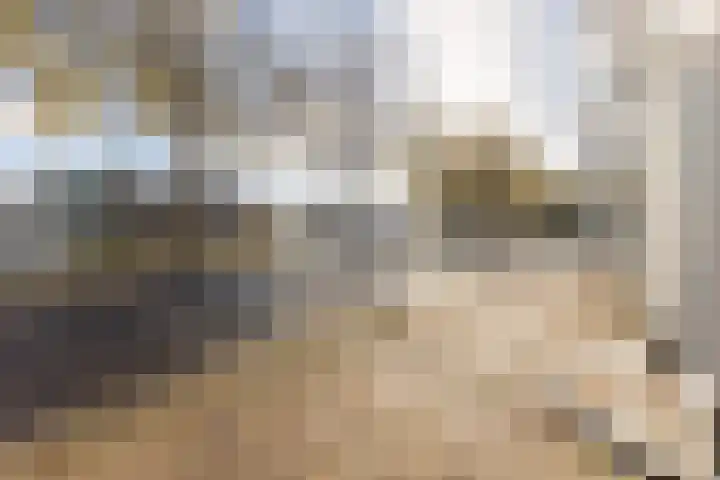 Noordeinde 1 A Wormerveer thumbnail 29