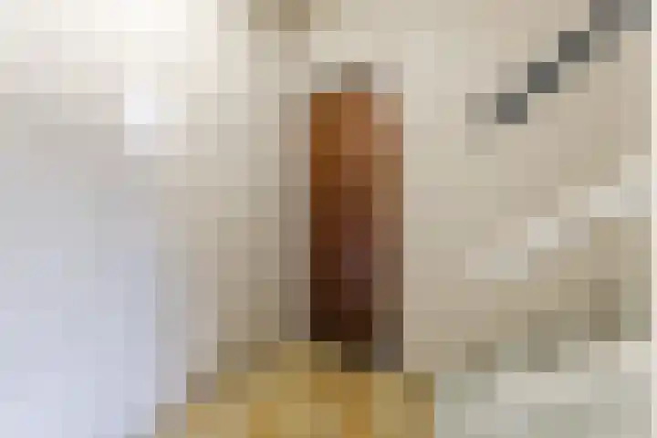 Noordeinde 1 A Wormerveer thumbnail 8