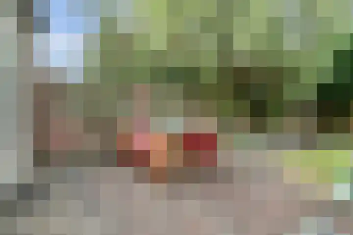 Noordeinde 141 Boskoop thumbnail 10