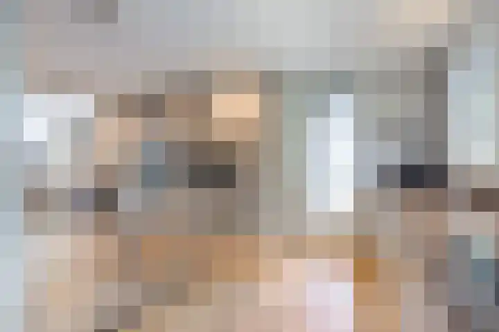 Noordeinde 141 Boskoop thumbnail 21