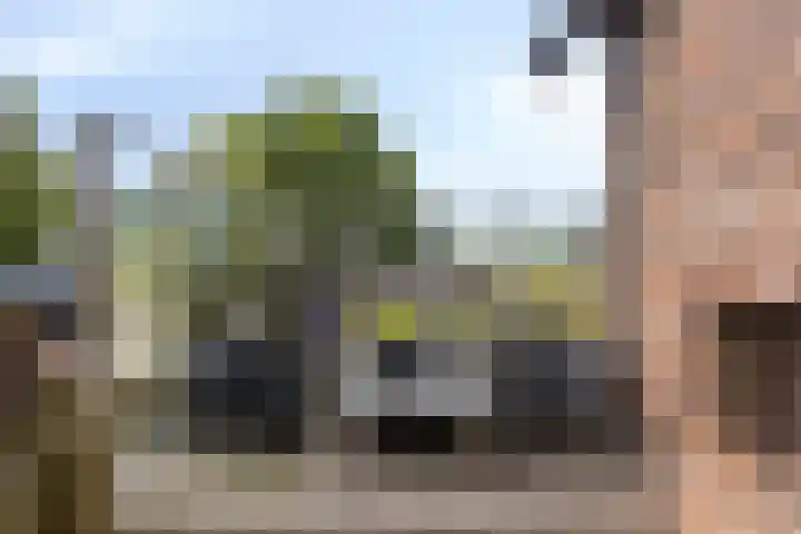 Noordeinde 141 Boskoop thumbnail 27