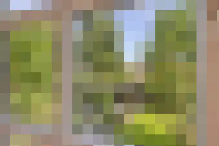 Noordeinde 141 Boskoop thumbnail 30