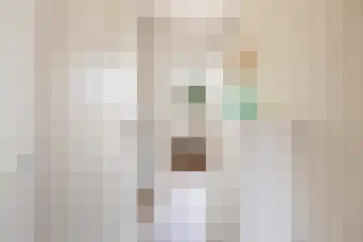 Noordeinde 141 Boskoop thumbnail 33