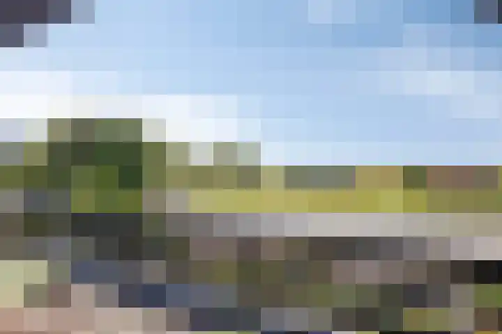 Noordeinde 141 Boskoop thumbnail 47