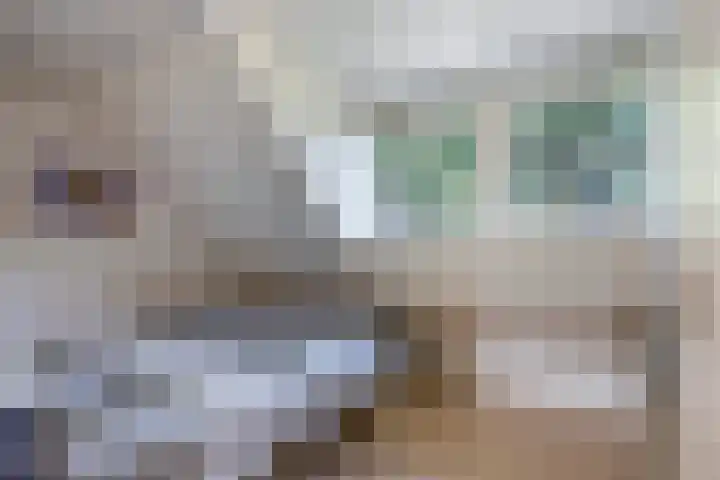 Noordeinde 141 Boskoop thumbnail 48