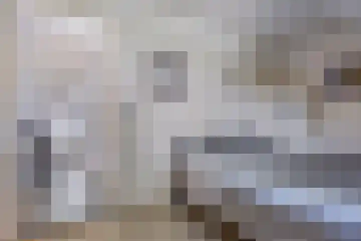 Noordeinde 141 Boskoop thumbnail 49