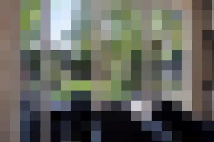 Noordeinde 141 Boskoop thumbnail 53