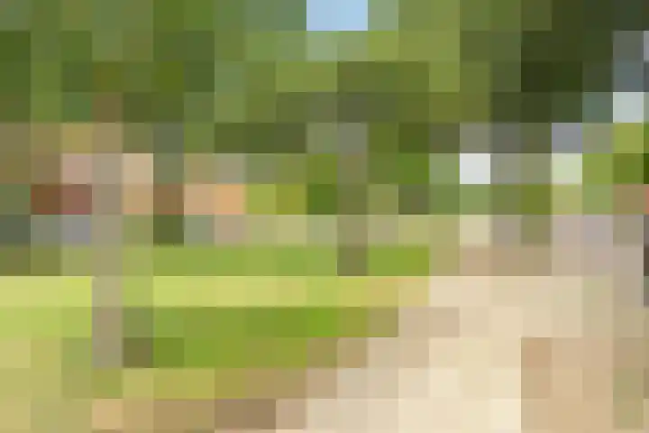 Noordeinde 141 Boskoop thumbnail 54