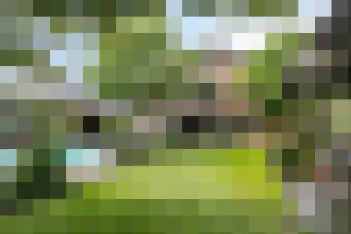 Noordeinde 141 Boskoop thumbnail 59