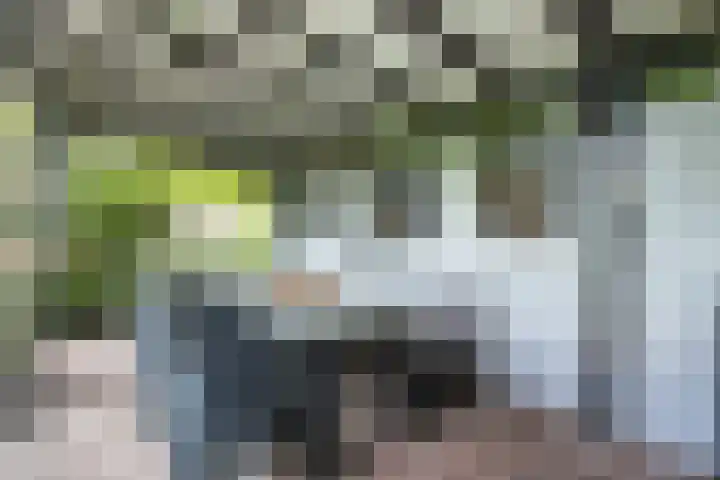 Noordeinde 141 Boskoop thumbnail 62