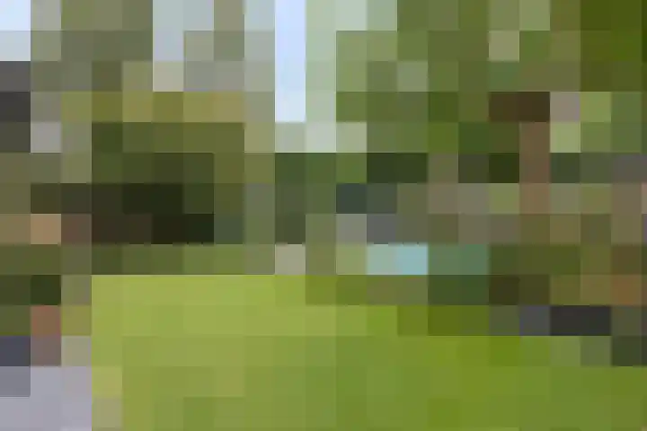 Noordeinde 141 Boskoop thumbnail 64