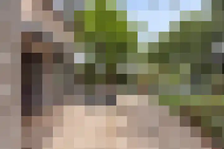 Noordeinde 141 Boskoop thumbnail 68