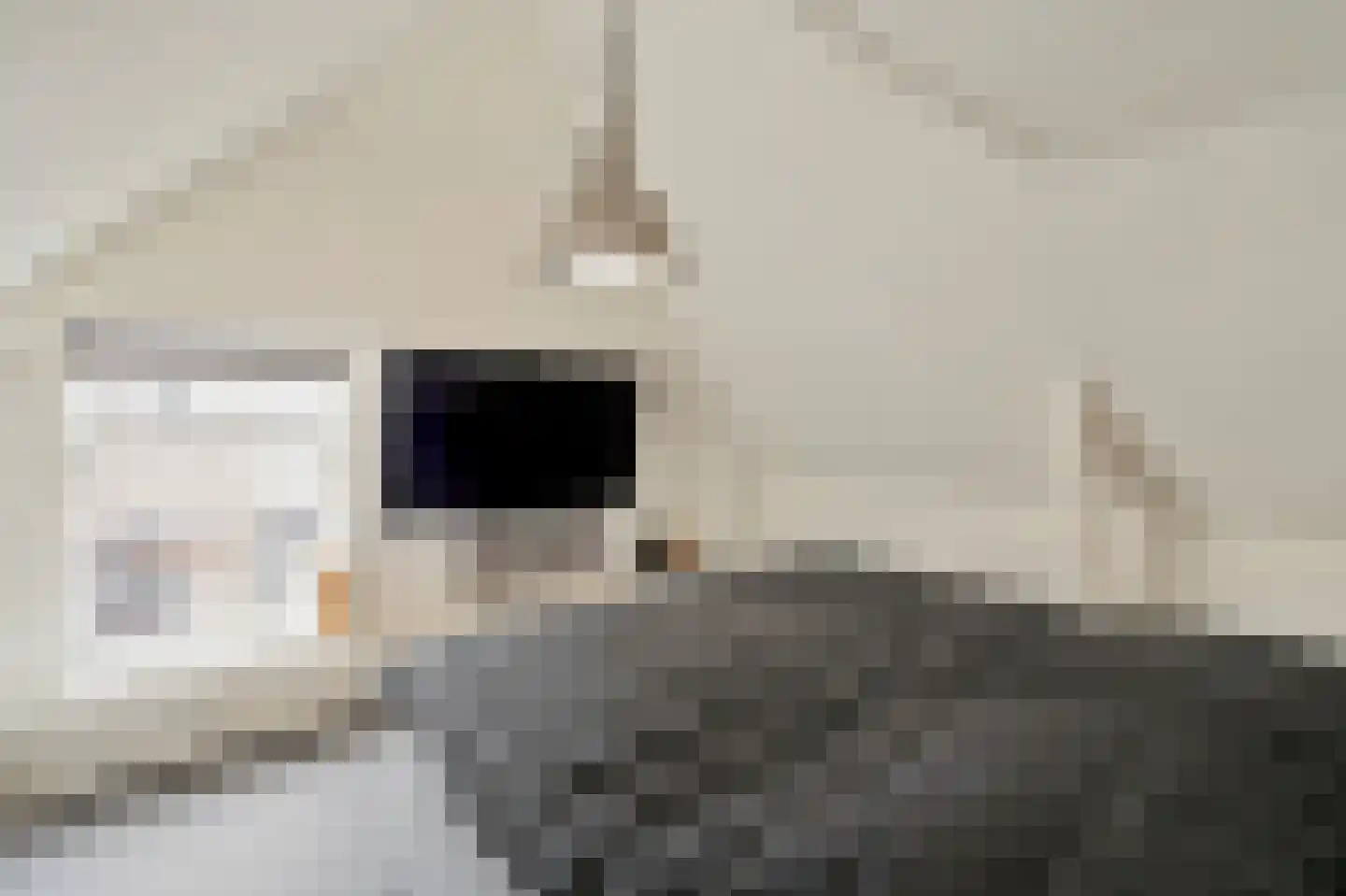 Noordeinde 46 Monnickendam thumbnail 49