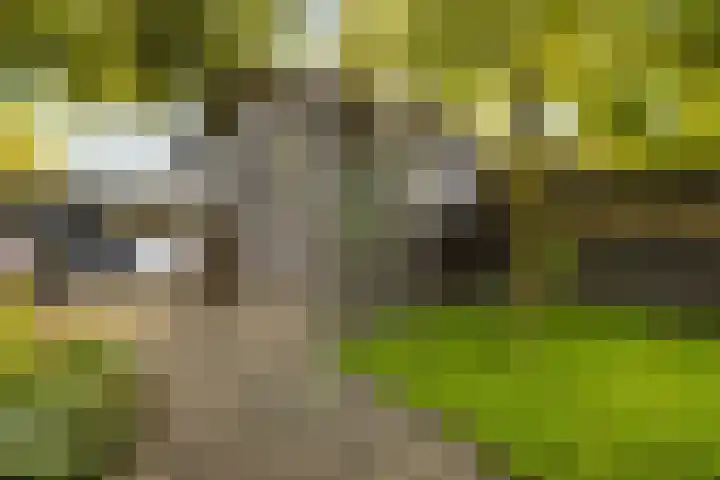 Noordeinde 57 Monnickendam thumbnail 13