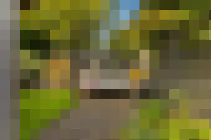Noordeinde 57 Monnickendam thumbnail 14