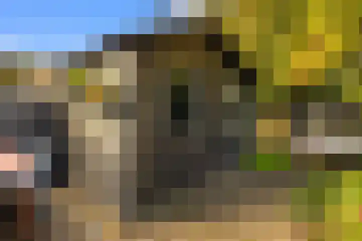 Noordeinde 57 Monnickendam thumbnail 18
