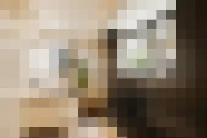 Noordeinde 57 Monnickendam thumbnail 20