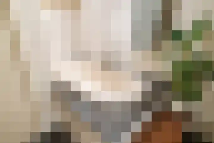 Noordeinde 57 Monnickendam thumbnail 23