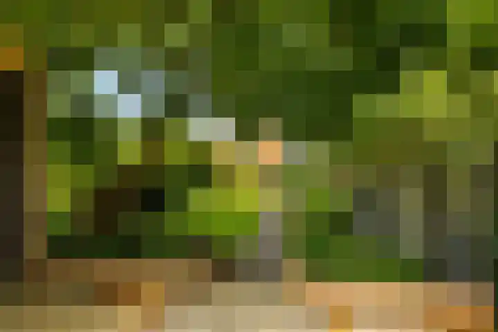 Noordeinde 75 Monnickendam thumbnail 13