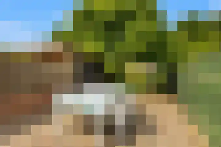 Noordeinde 75 Monnickendam thumbnail 20