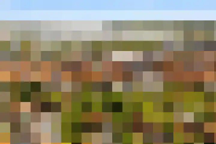 Noordeinde 75 Monnickendam thumbnail 37