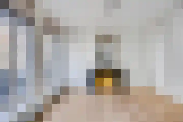 Noordeinde 87 D Den Haag thumbnail 13
