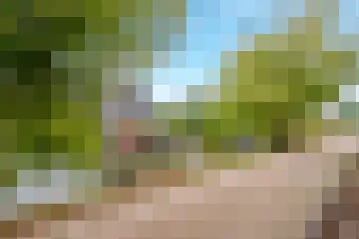 Noorder Jaagpad 21 Muiden thumbnail 34