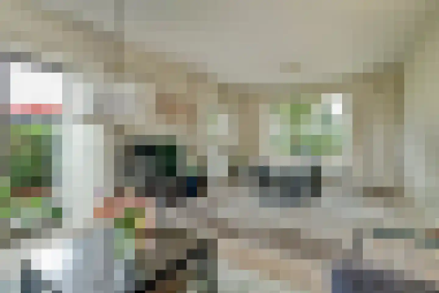 Noorder Parallelweg 51 Waalwijk thumbnail 6