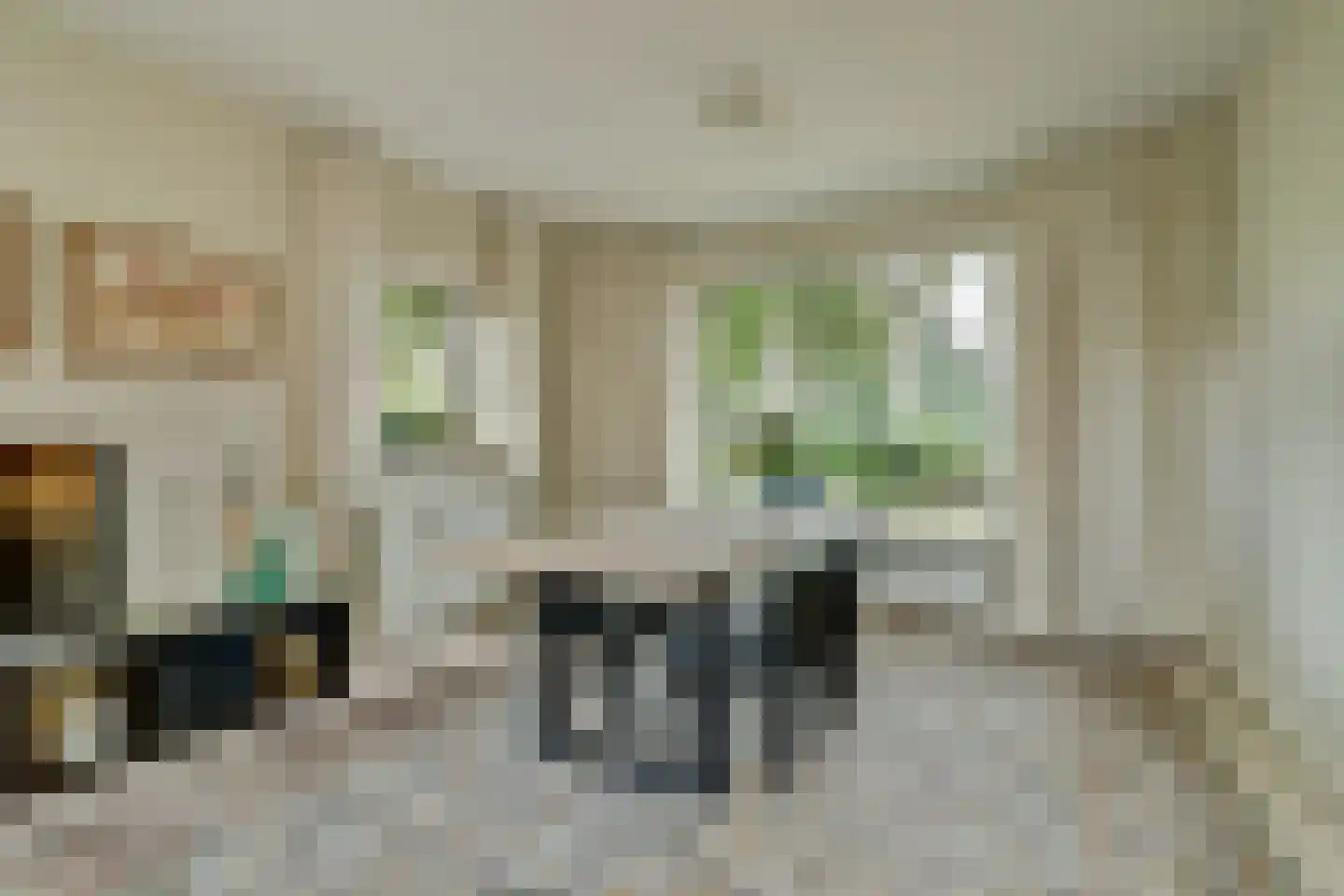 Noorder Parallelweg 51 Waalwijk thumbnail 7