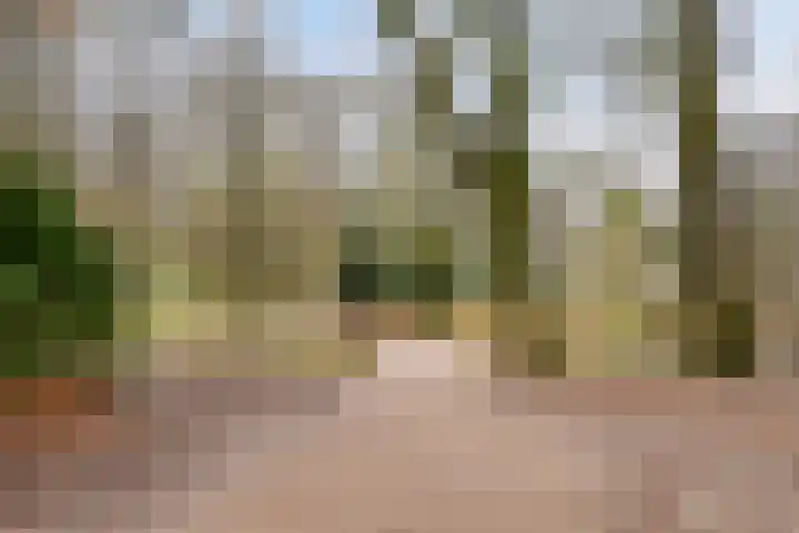 Noorderbinnensingel 22 a Groningen thumbnail 37