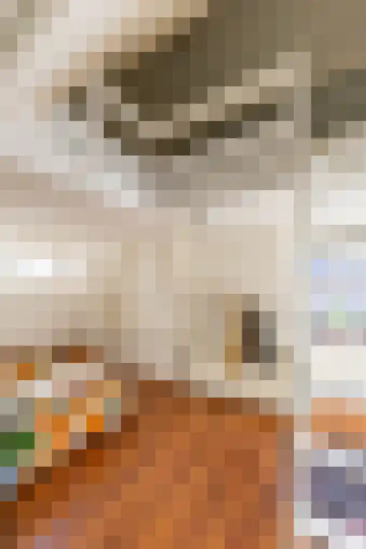 Noorderbinnensingel 59 1 Groningen thumbnail 33