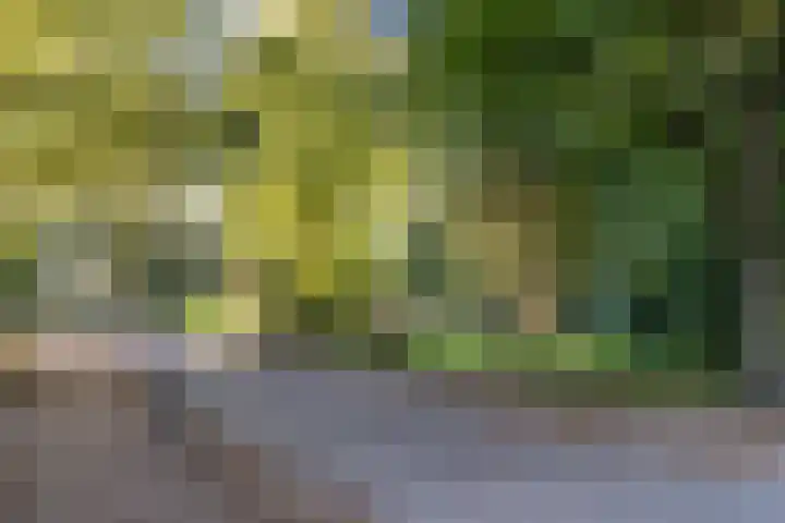 Noorderbinnensingel 59 1 Groningen thumbnail 37