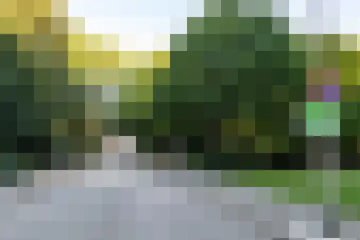 Noorderbinnensingel 59 1 Groningen thumbnail 7