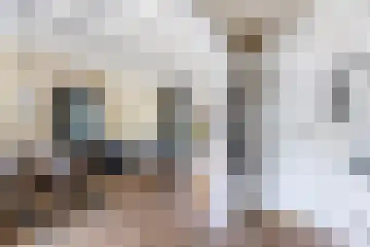 Noorderbleek 13 Franeker thumbnail 15