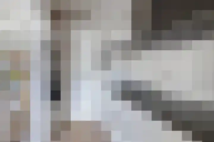 Noorderbleek 13 Franeker thumbnail 22