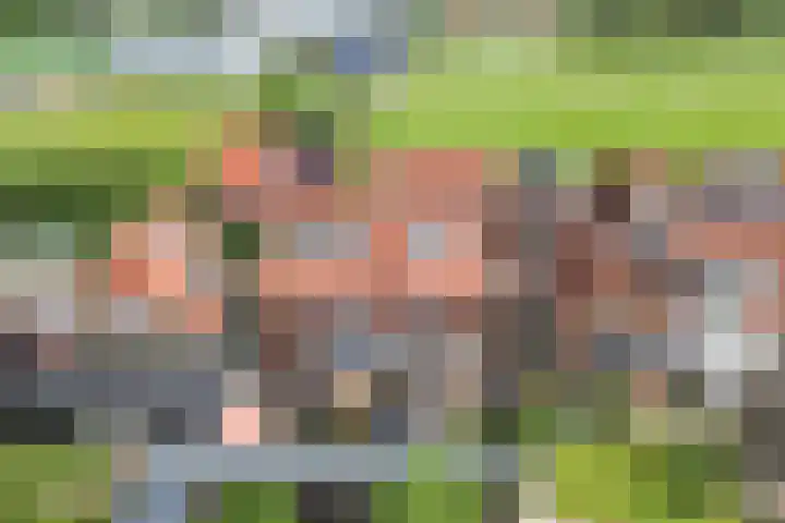 Noorderbleek 13 Franeker thumbnail 33