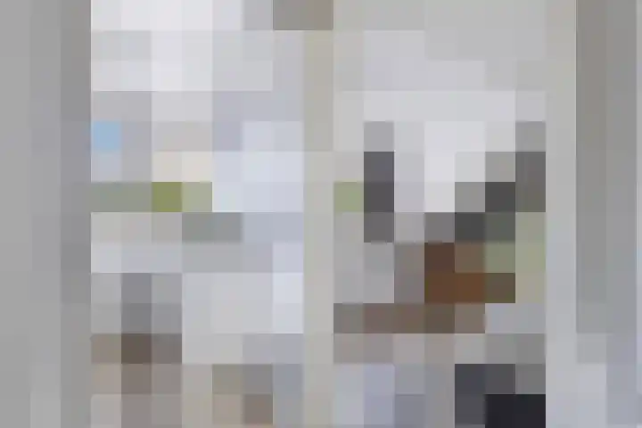 Noorderbleek 13 Franeker thumbnail 47