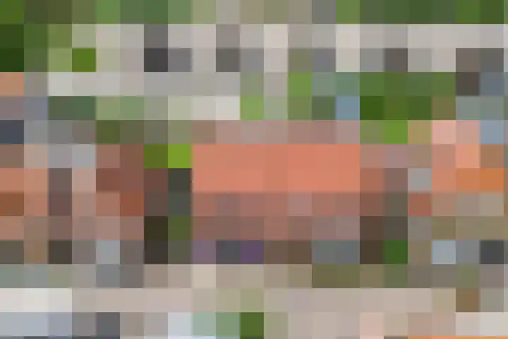 Noorderbleek 13 Franeker thumbnail 8